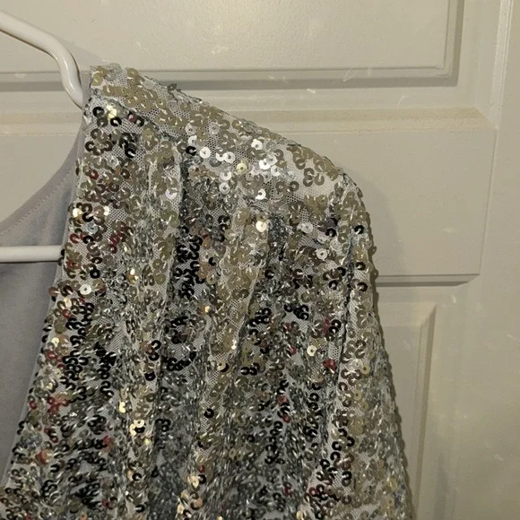 H&M Silver Sequin Dress - Picture 8 of 15